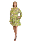 Willow Green Paisley Long Sleeve Mini Tiered Dress